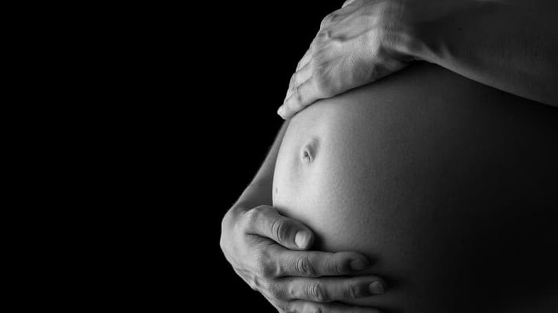 ravida ravidez estaçao estante