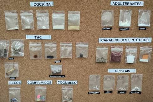 16988789966542d614701de_1698878996_3x2_sm (1)